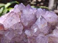 Natural Amethyst Spirit Quartz Clusters x 2 From Boekenhouthoek, South Africa
