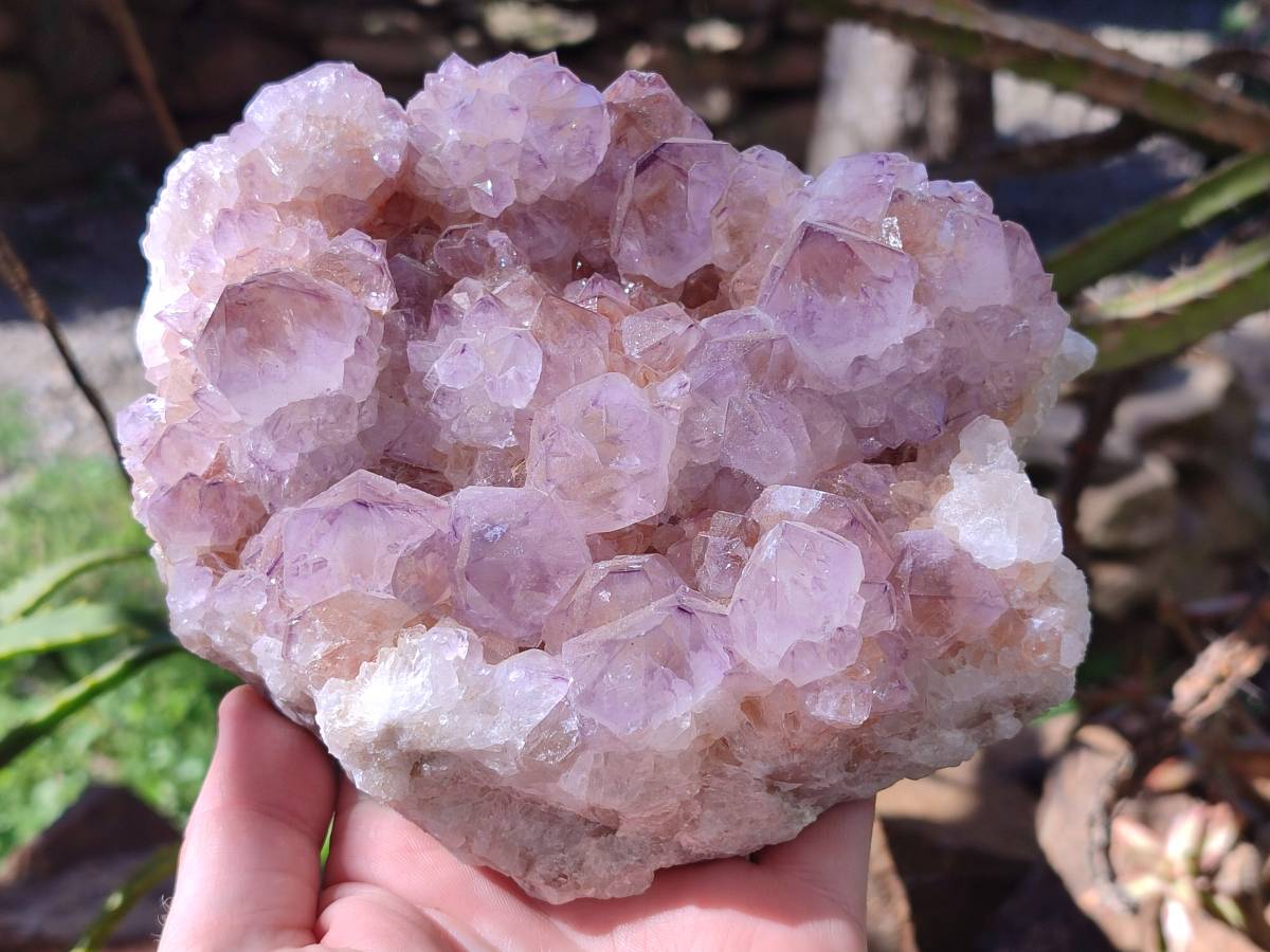 Natural Amethyst Spirit Quartz Clusters x 2 From Boekenhouthoek, South Africa - Toprock Gemstones and Minerals 