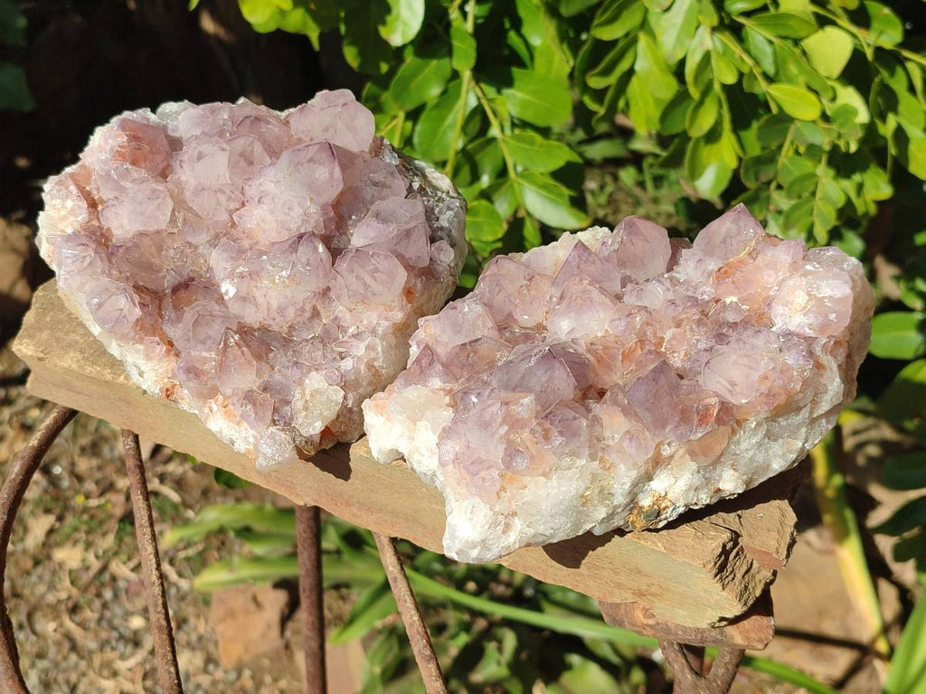 Natural Amethyst Spirit Quartz Clusters x 2 From Boekenhouthoek, South Africa - Toprock Gemstones and Minerals 