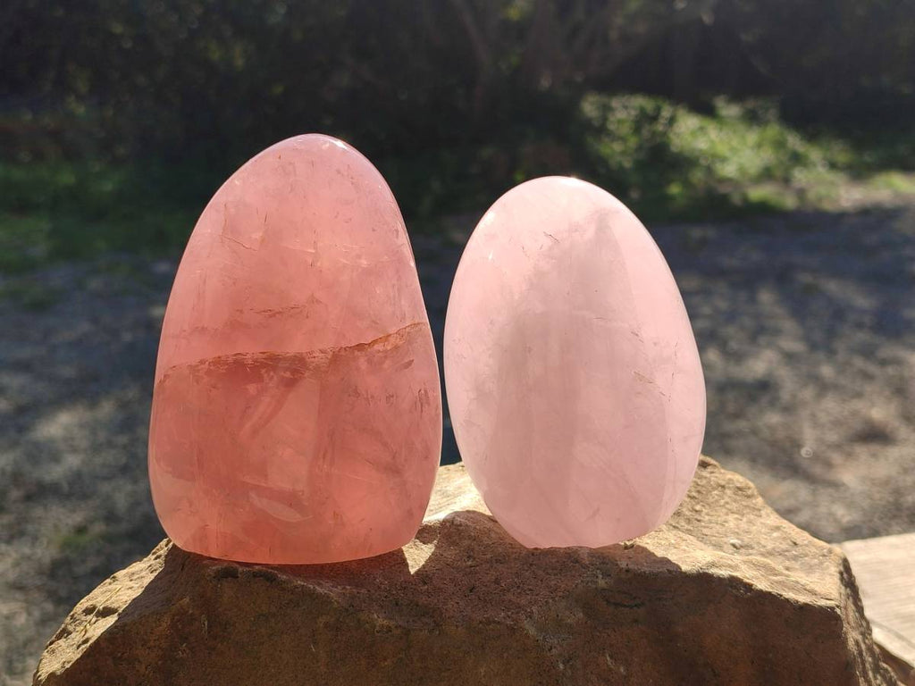 Polished Rose Quartz Standing Free Forms x 2 Madagascar - Toprock Gemstones and Minerals 