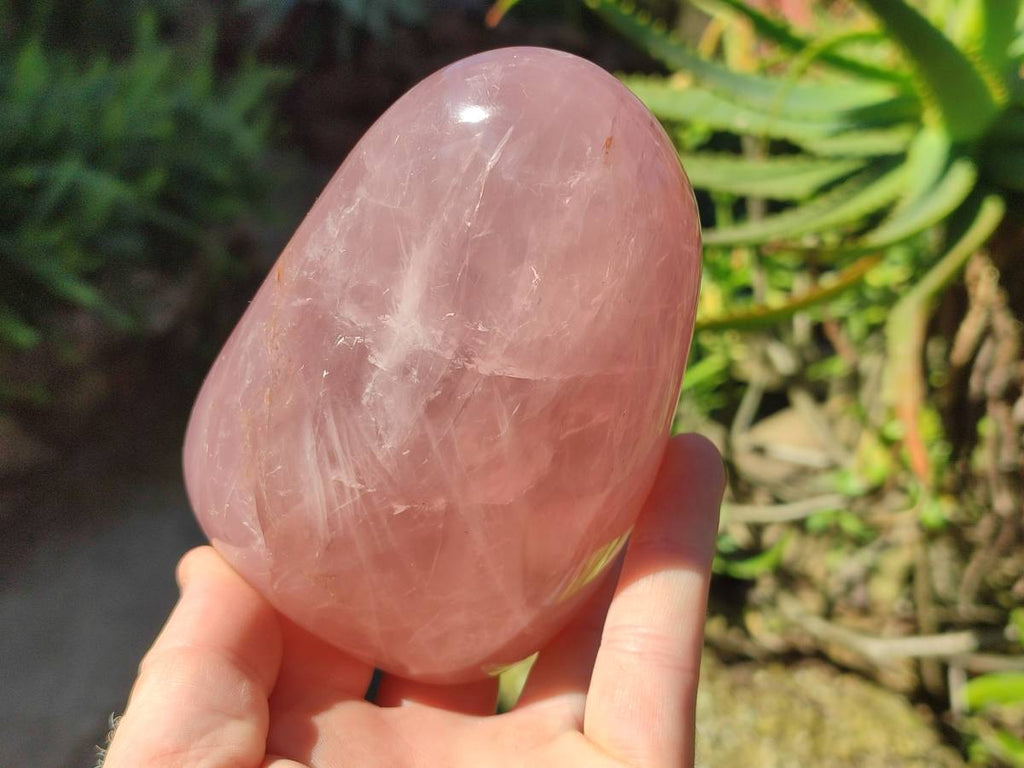 Polished Rose Quartz Standing Free Forms x 2 Madagascar - Toprock Gemstones and Minerals 