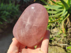 Polished Rose Quartz Standing Free Forms x 2 Madagascar - Toprock Gemstones and Minerals 