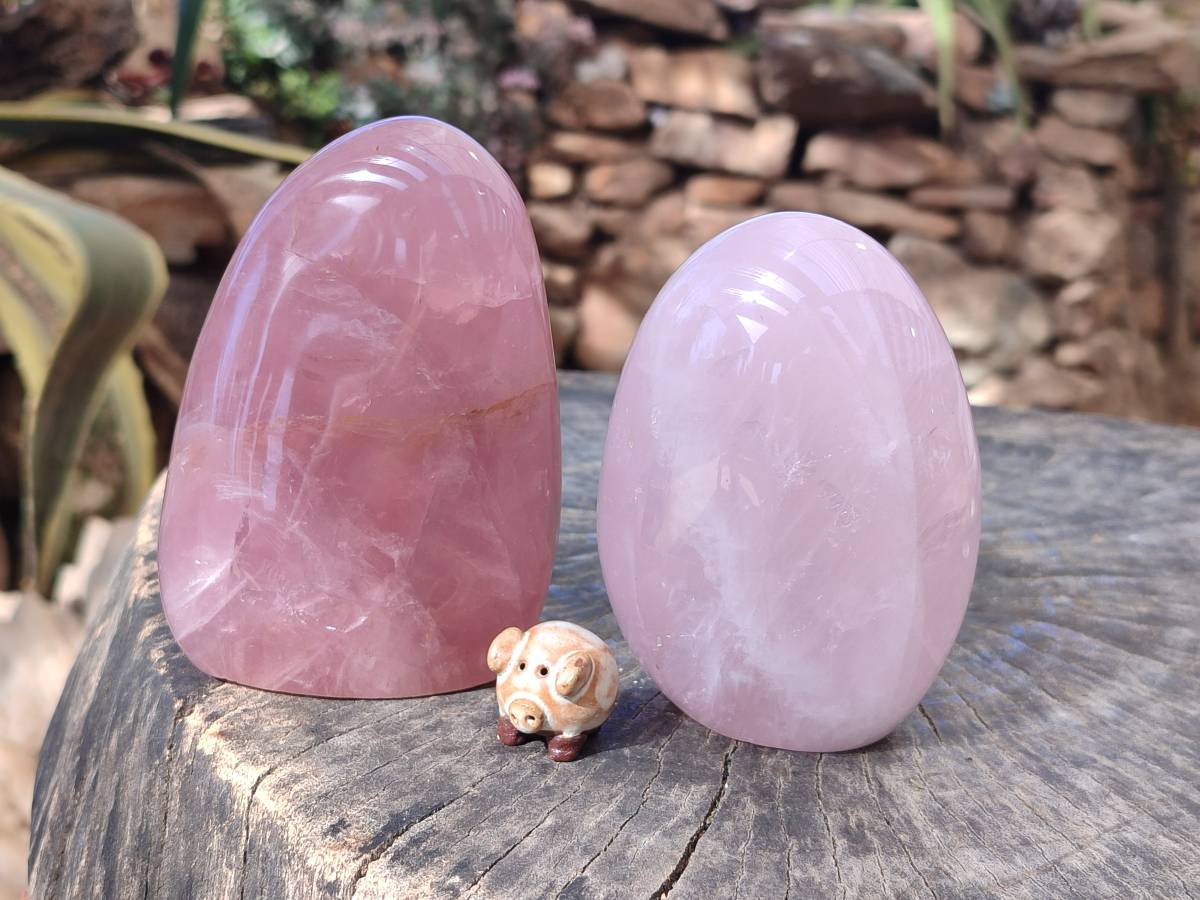 Polished Rose Quartz Standing Free Forms x 2 Madagascar - Toprock Gemstones and Minerals 