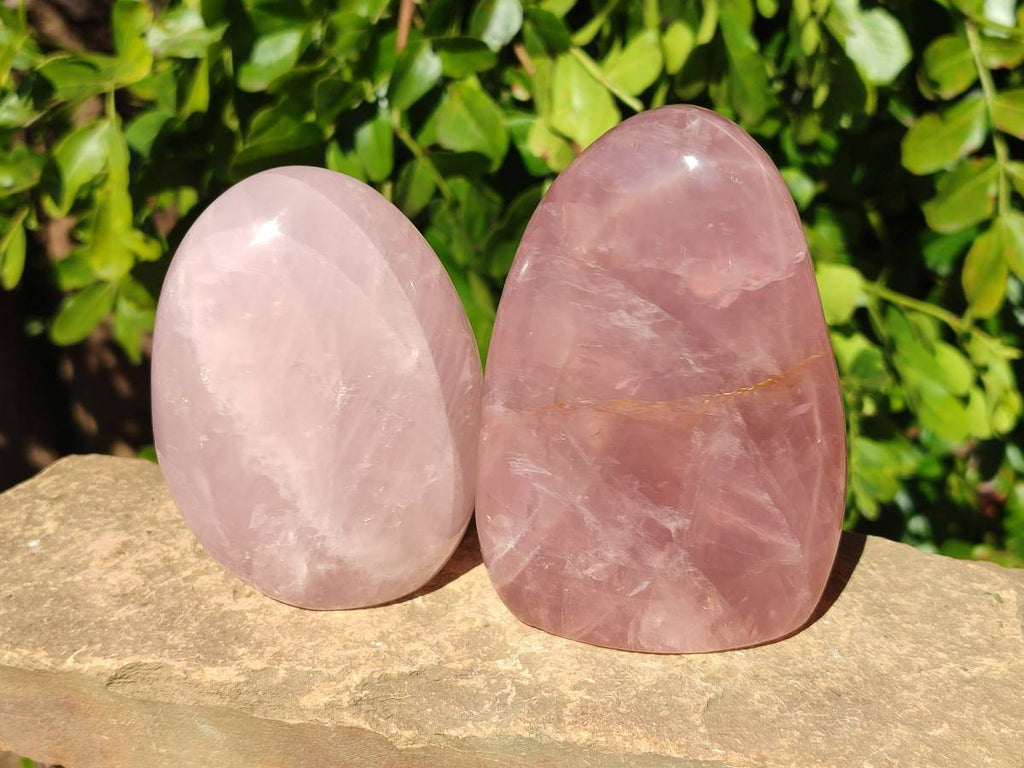 Polished Rose Quartz Standing Free Forms x 2 Madagascar - Toprock Gemstones and Minerals 