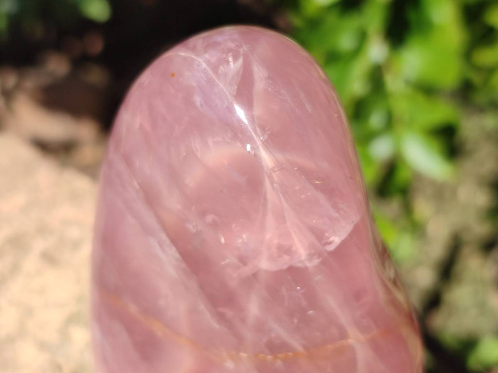Polished Rose Quartz Standing Free Forms x 2 Madagascar - Toprock Gemstones and Minerals 