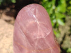 Polished Rose Quartz Standing Free Forms x 2 Madagascar - Toprock Gemstones and Minerals 