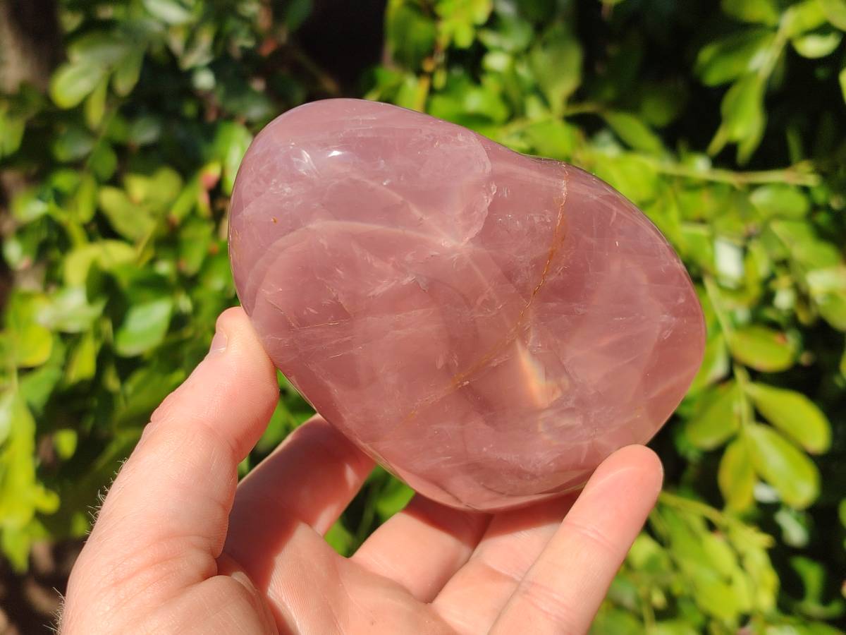 Polished Rose Quartz Standing Free Forms x 2 Madagascar - Toprock Gemstones and Minerals 