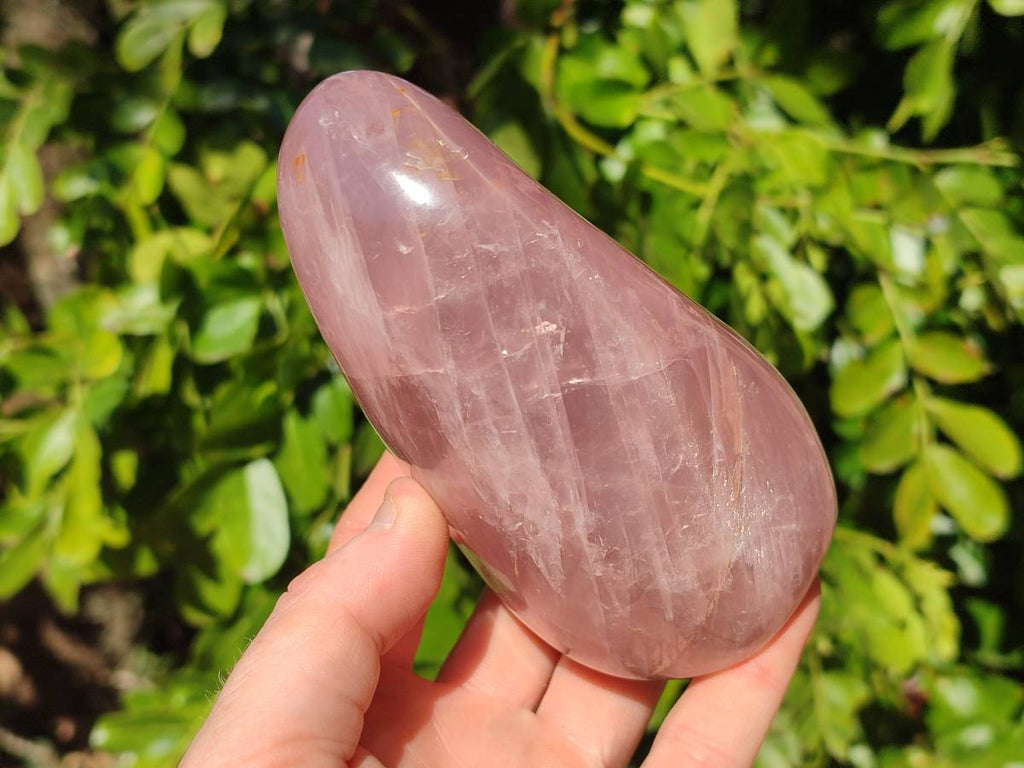 Polished Rose Quartz Standing Free Forms x 2 Madagascar - Toprock Gemstones and Minerals 