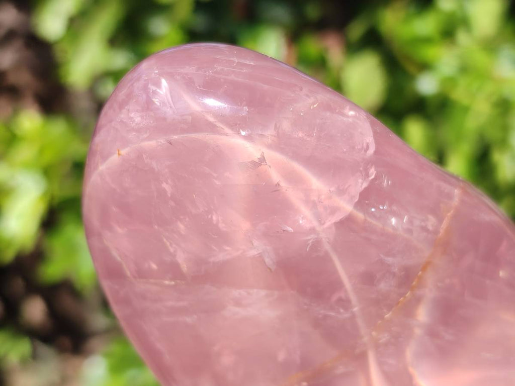 Polished Rose Quartz Standing Free Forms x 2 Madagascar - Toprock Gemstones and Minerals 