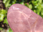 Polished Rose Quartz Standing Free Forms x 2 Madagascar - Toprock Gemstones and Minerals 