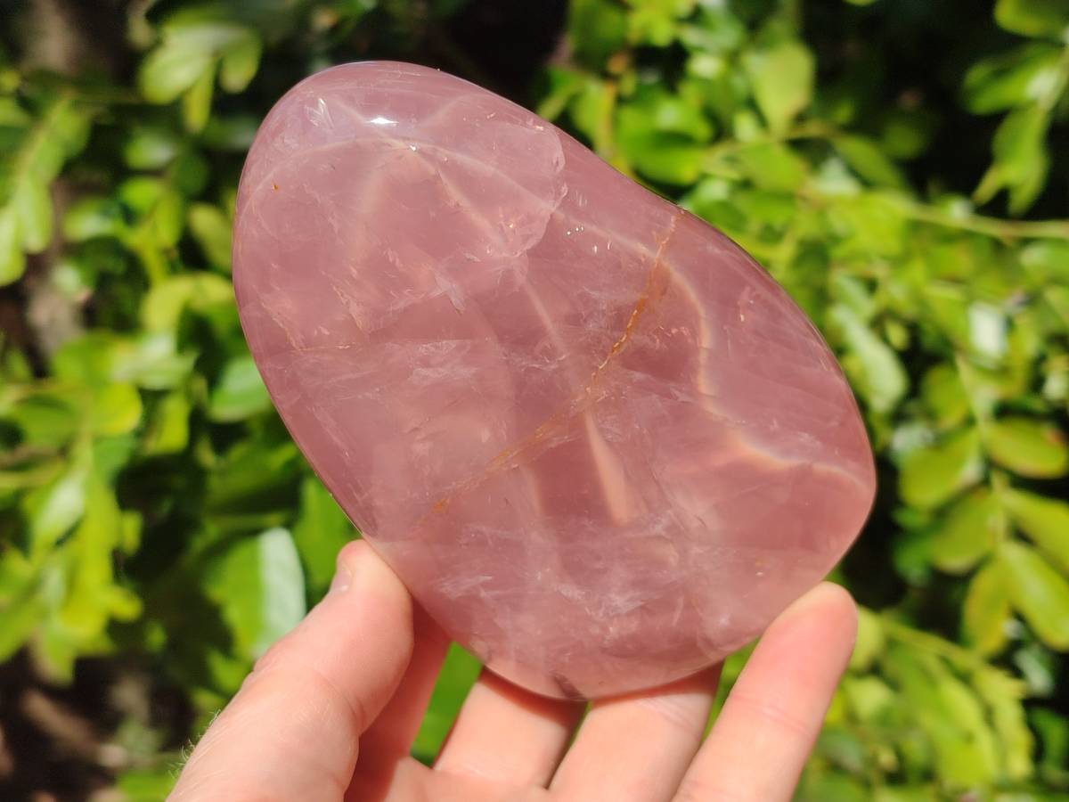 Polished Rose Quartz Standing Free Forms x 2 Madagascar - Toprock Gemstones and Minerals 