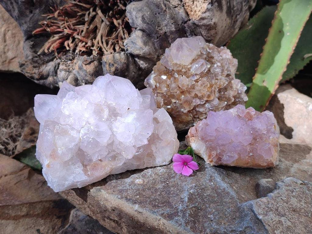 Natural Amethyst Spirit Quartz Clusters x 3 From Boekenhouthoek, South Africa - Toprock Gemstones and Minerals 