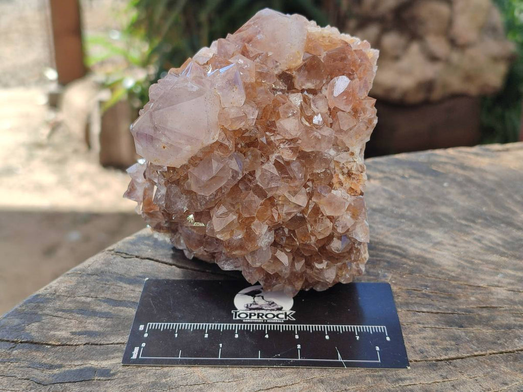 Natural Amethyst Spirit Quartz Clusters x 3 From Boekenhouthoek, South Africa - Toprock Gemstones and Minerals 