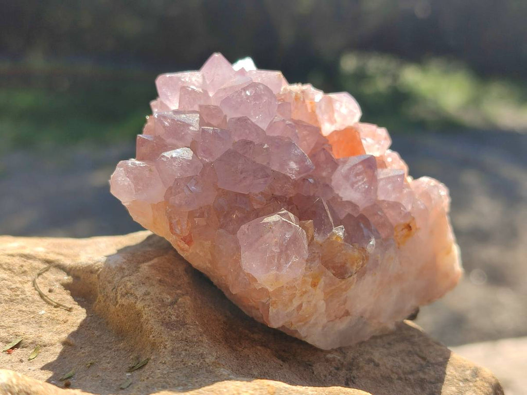 Natural Amethyst Spirit Quartz Clusters x 3 From Boekenhouthoek, South Africa - Toprock Gemstones and Minerals 