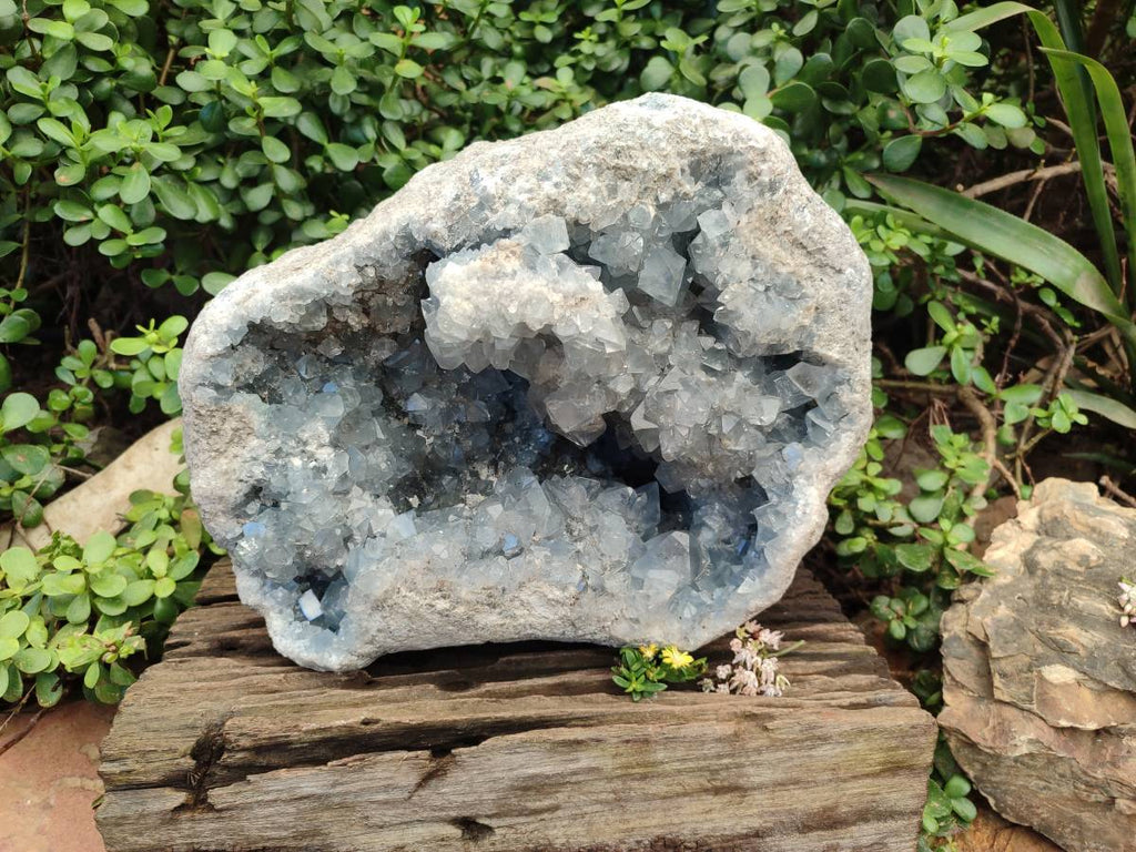 Natural Celestite Geode Specimen x 1 From Sakoany, Madagascar - Toprock Gemstones and Minerals 