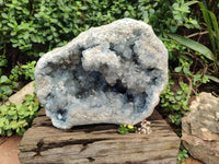 Natural Celestite Geode Specimen x 1 From Sakoany, Madagascar