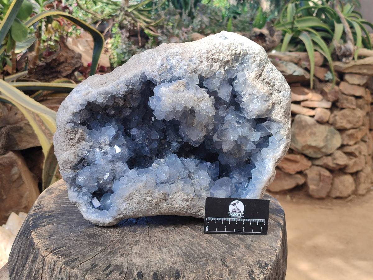 Natural Celestite Geode Specimen x 1 From Sakoany, Madagascar - Toprock Gemstones and Minerals 