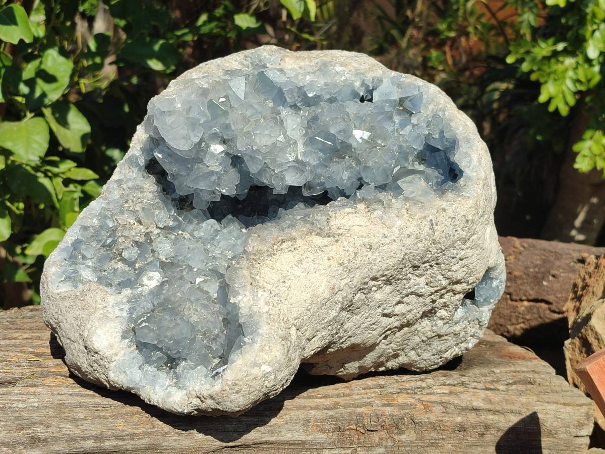 Natural Celestite Geode Specimen x 1 From Sakoany, Madagascar - Toprock Gemstones and Minerals 