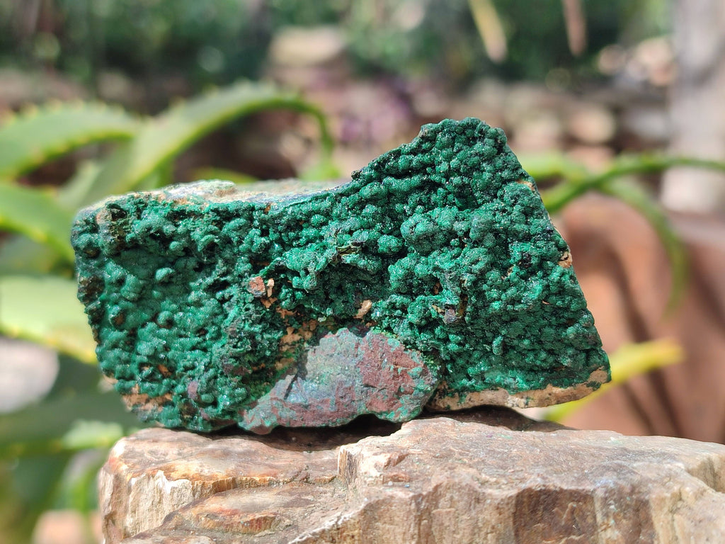 Natural Crystalline Malachite Specimens x 6 From Congo - Toprock Gemstones and Minerals 