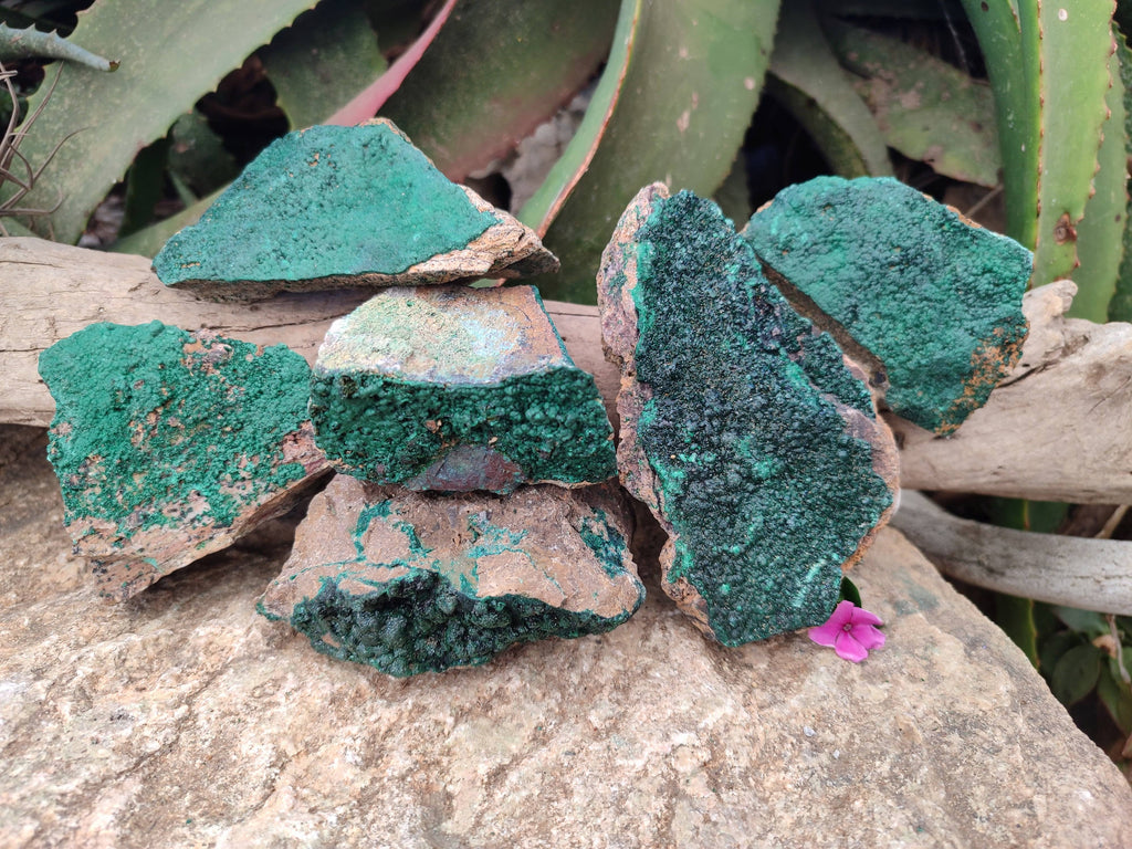 Natural Crystalline Malachite Specimens x 6 From Congo - Toprock Gemstones and Minerals 