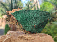 Natural Crystalline Malachite Specimens x 6 From Congo
