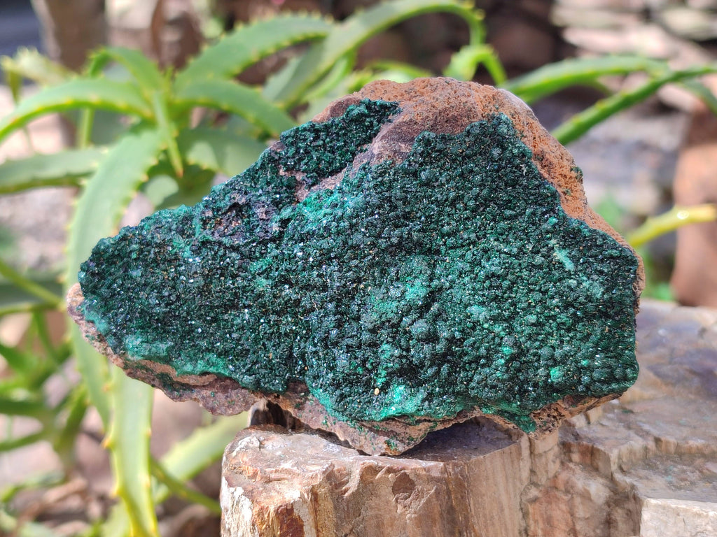 Natural Crystalline Malachite Specimens x 6 From Congo - Toprock Gemstones and Minerals 