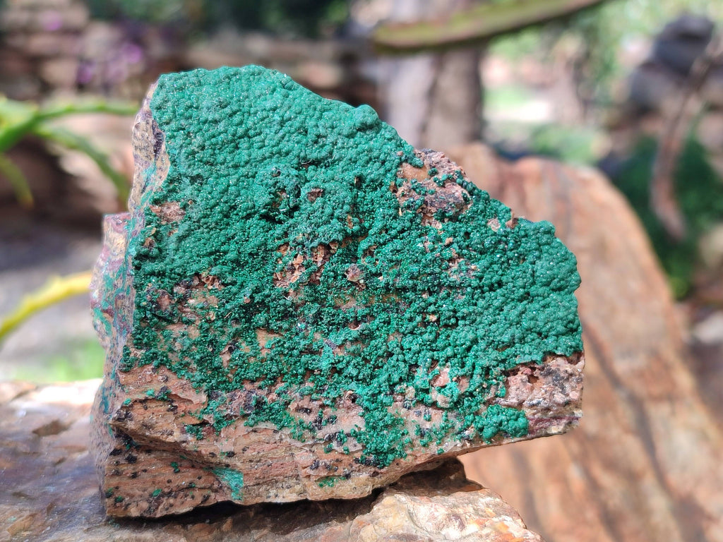 Natural Crystalline Malachite Specimens x 6 From Congo - Toprock Gemstones and Minerals 