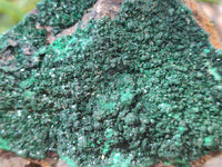 Natural Crystalline Malachite Specimens x 6 From Congo