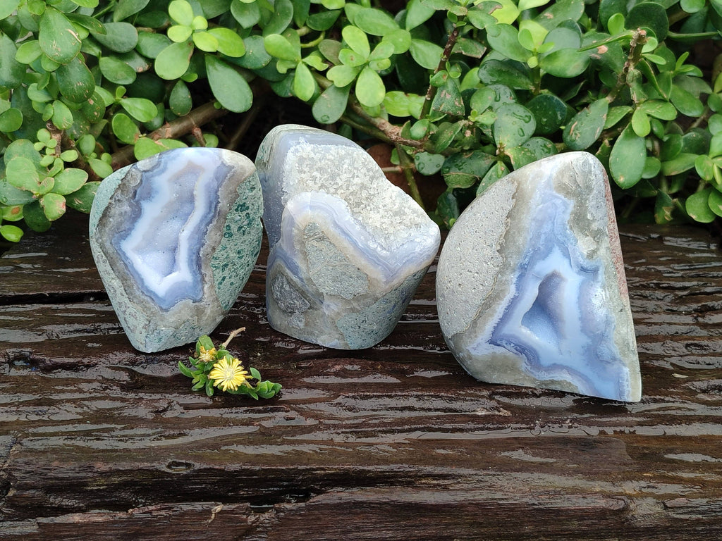 Polished Blue Lace Agate Stranding Free Forms x 3 From Malawi - Toprock Gemstones and Minerals 