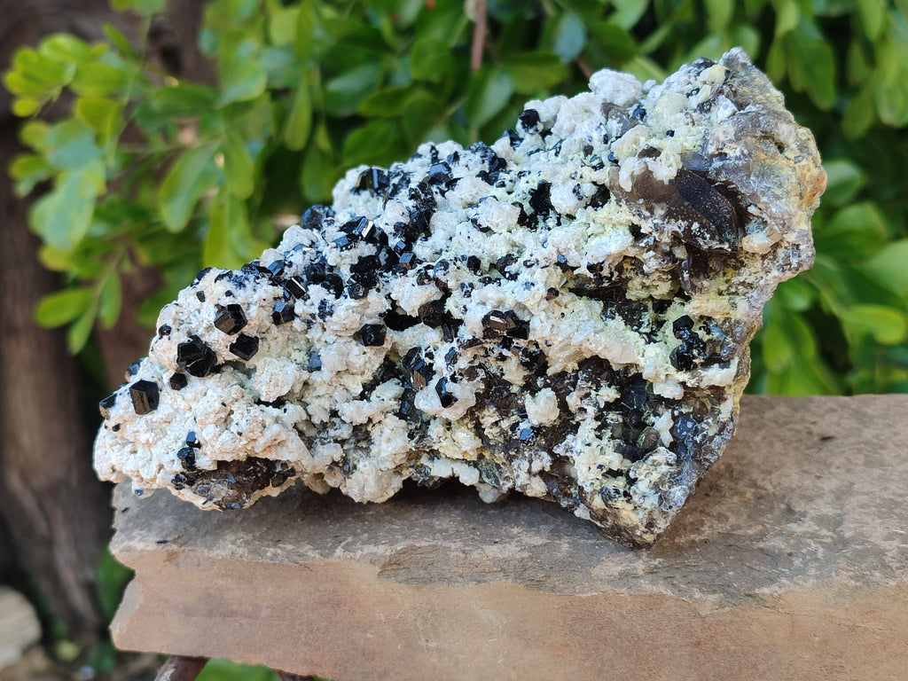 Natural Schorl Black Tourmaline Specimen x 1 From Erongo, Namibia - Toprock Gemstones and Minerals 
