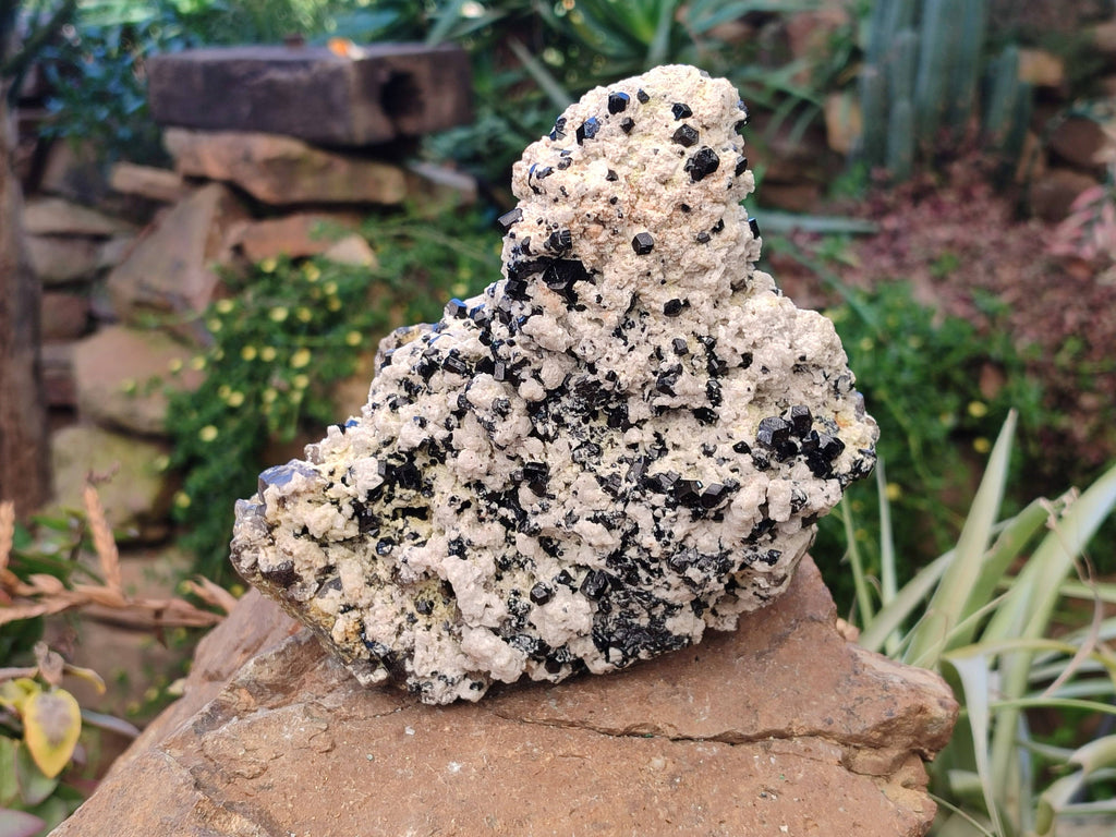 Natural Schorl Black Tourmaline Specimen x 1 From Erongo, Namibia - Toprock Gemstones and Minerals 