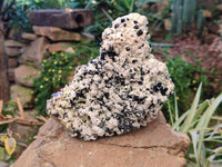 Natural Schorl Black Tourmaline Specimen x 1 From Erongo, Namibia