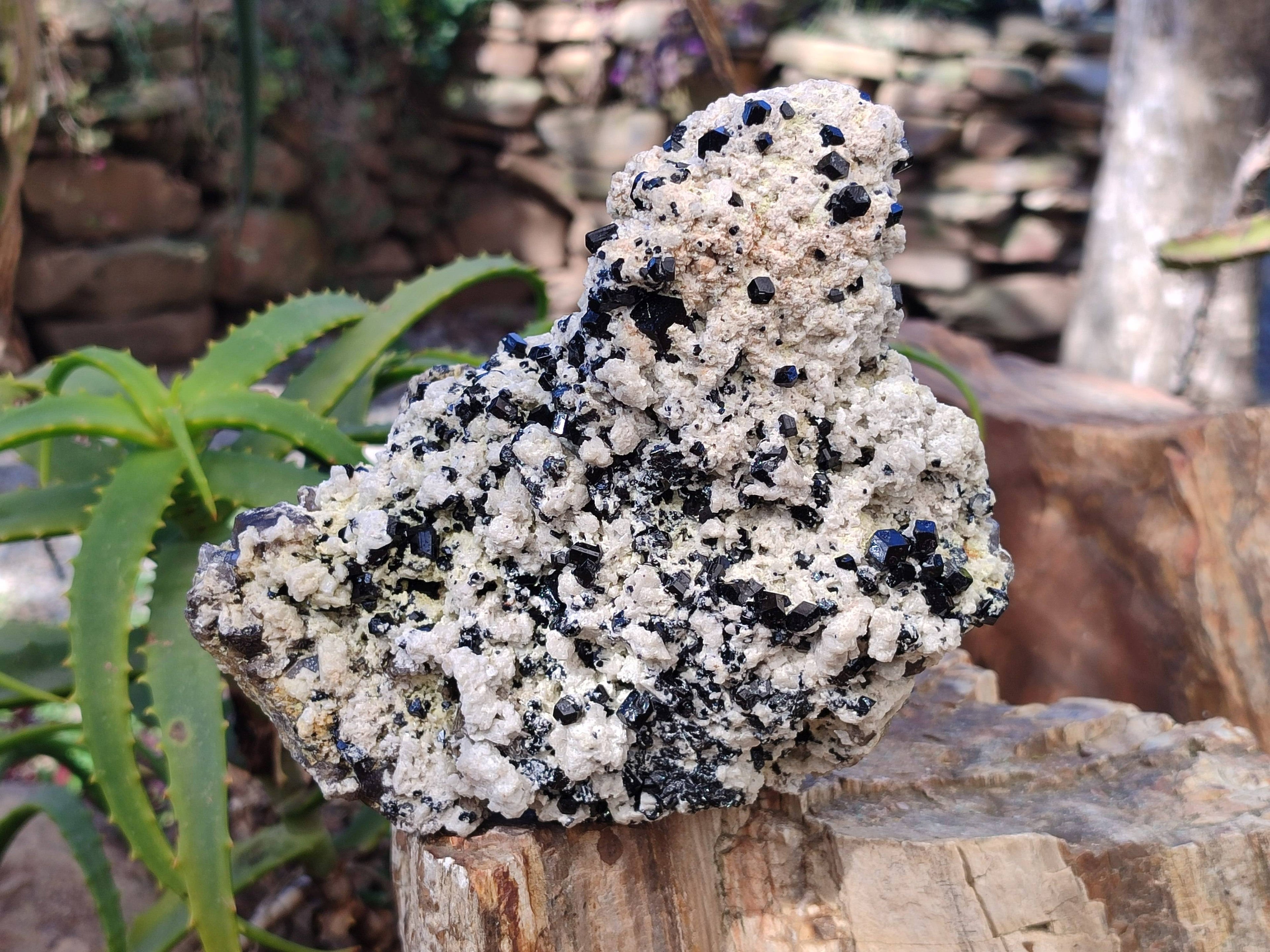 Natural Schorl Black Tourmaline Specimen x 1 From Erongo, Namibia - Toprock Gemstones and Minerals 