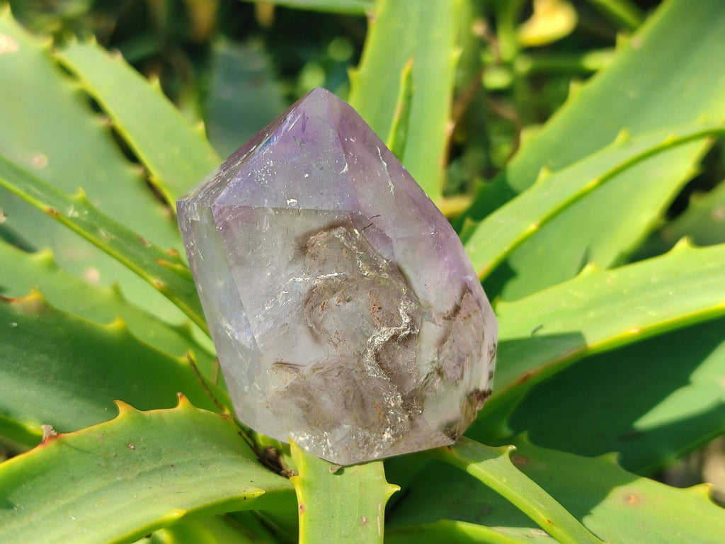 Polished Window Amethyst Crystals x 12 From Madagascar - Toprock Gemstones and Minerals 