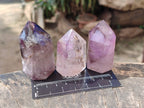 Polished Window Amethyst Crystals x 12 From Madagascar - Toprock Gemstones and Minerals 