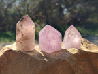 Polished Window Amethyst Crystals x 12 From Madagascar - Toprock Gemstones and Minerals 