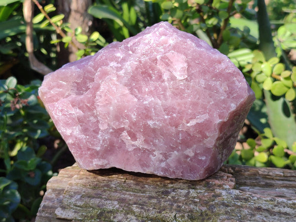 Natural Pink Rose Quartz Cobbed Specimens x 3 From North Cape, South Africa