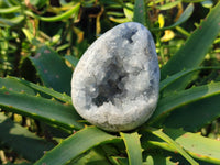 Polished Celestite Geodes x 5 From Sakoany, Madagascar