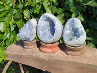 Polished Celestite Geodes x 5 From Sakoany, Madagascar