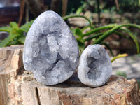 Polished Celestite Geodes x 5 From Sakoany, Madagascar