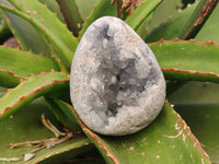 Polished Celestite Geodes x 5 From Sakoany, Madagascar