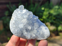 Polished Celestite Geodes x 5 From Sakoany, Madagascar