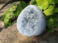 Polished Celestite Geodes x 5 From Sakoany, Madagascar