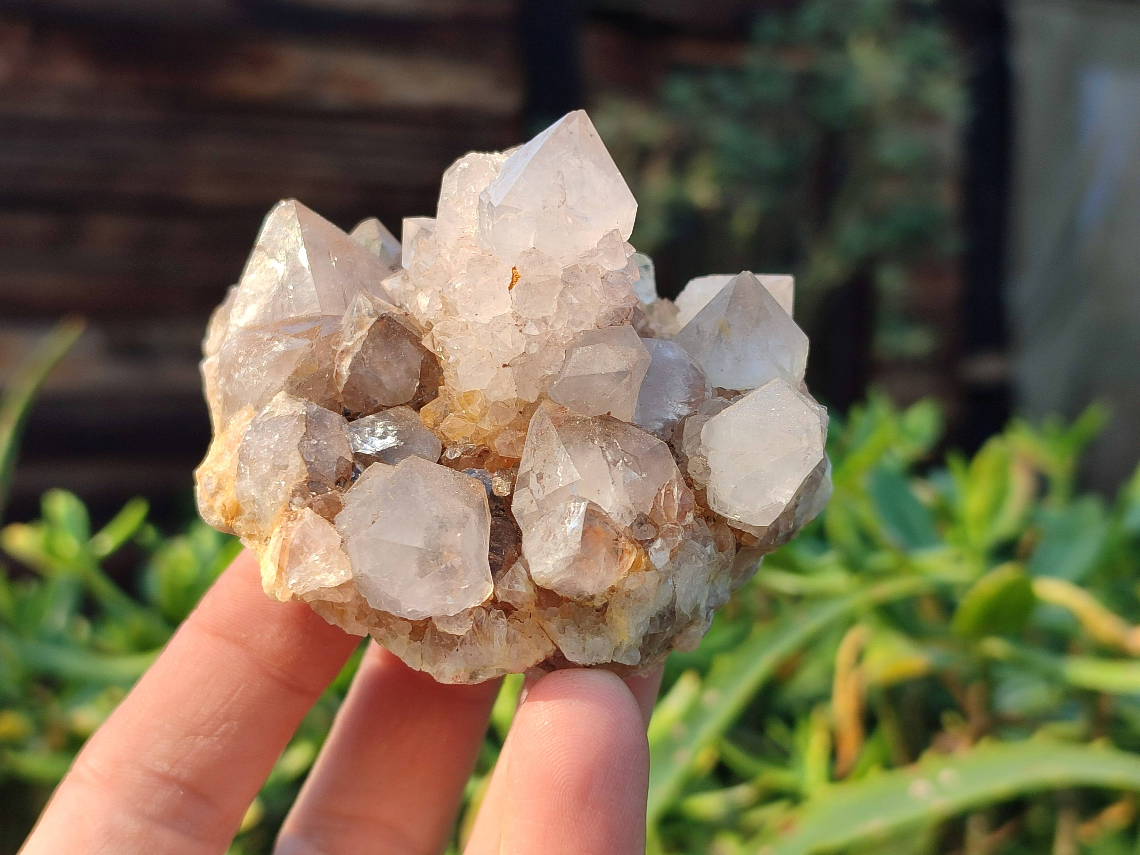 Natural Smokey Spirit Quartz Clusters x 6 From Boekenhouthoek, South Africa - Toprock Gemstones and Minerals 