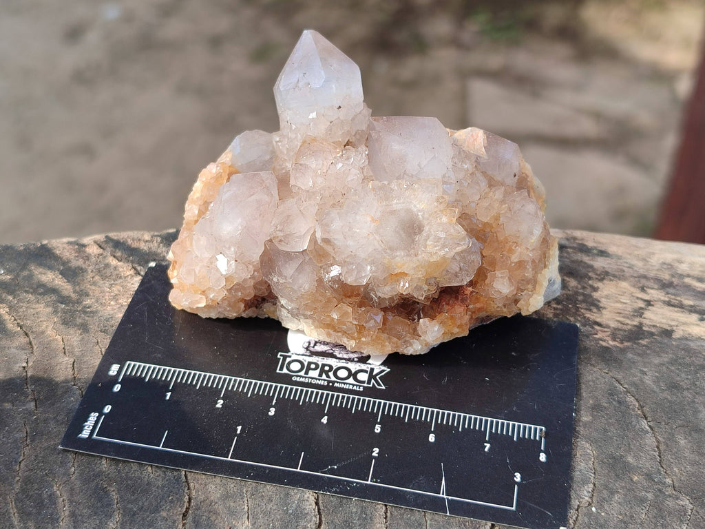 Natural Smokey Spirit Quartz Clusters x 6 From Boekenhouthoek, South Africa - Toprock Gemstones and Minerals 
