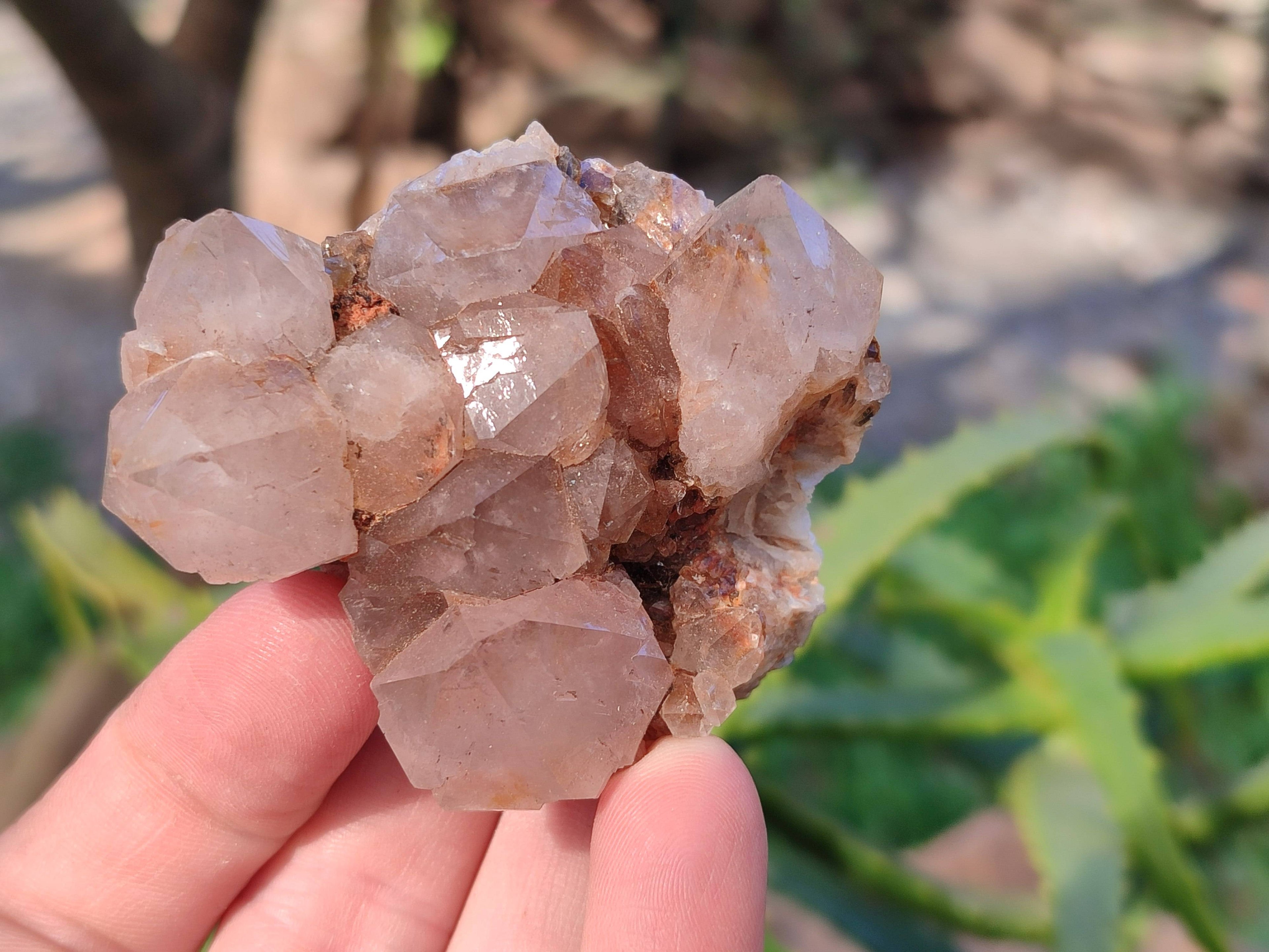 Natural Smokey Spirit Quartz Clusters x 6 From Boekenhouthoek, South Africa - Toprock Gemstones and Minerals 