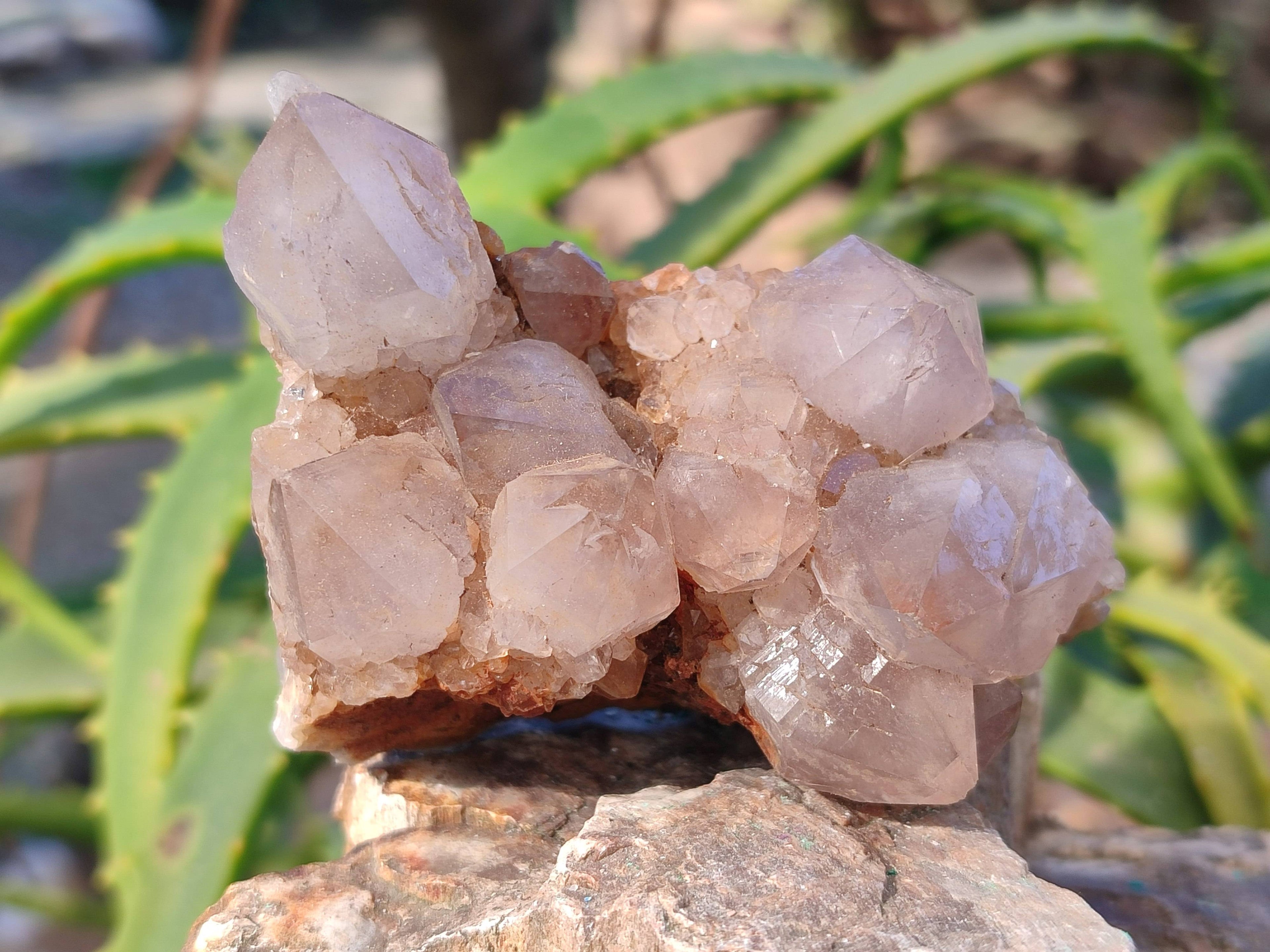 Natural Smokey Spirit Quartz Clusters x 6 From Boekenhouthoek, South Africa - Toprock Gemstones and Minerals 