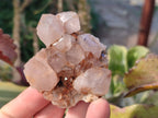 Natural Smokey Spirit Quartz Clusters x 6 From Boekenhouthoek, South Africa - Toprock Gemstones and Minerals 