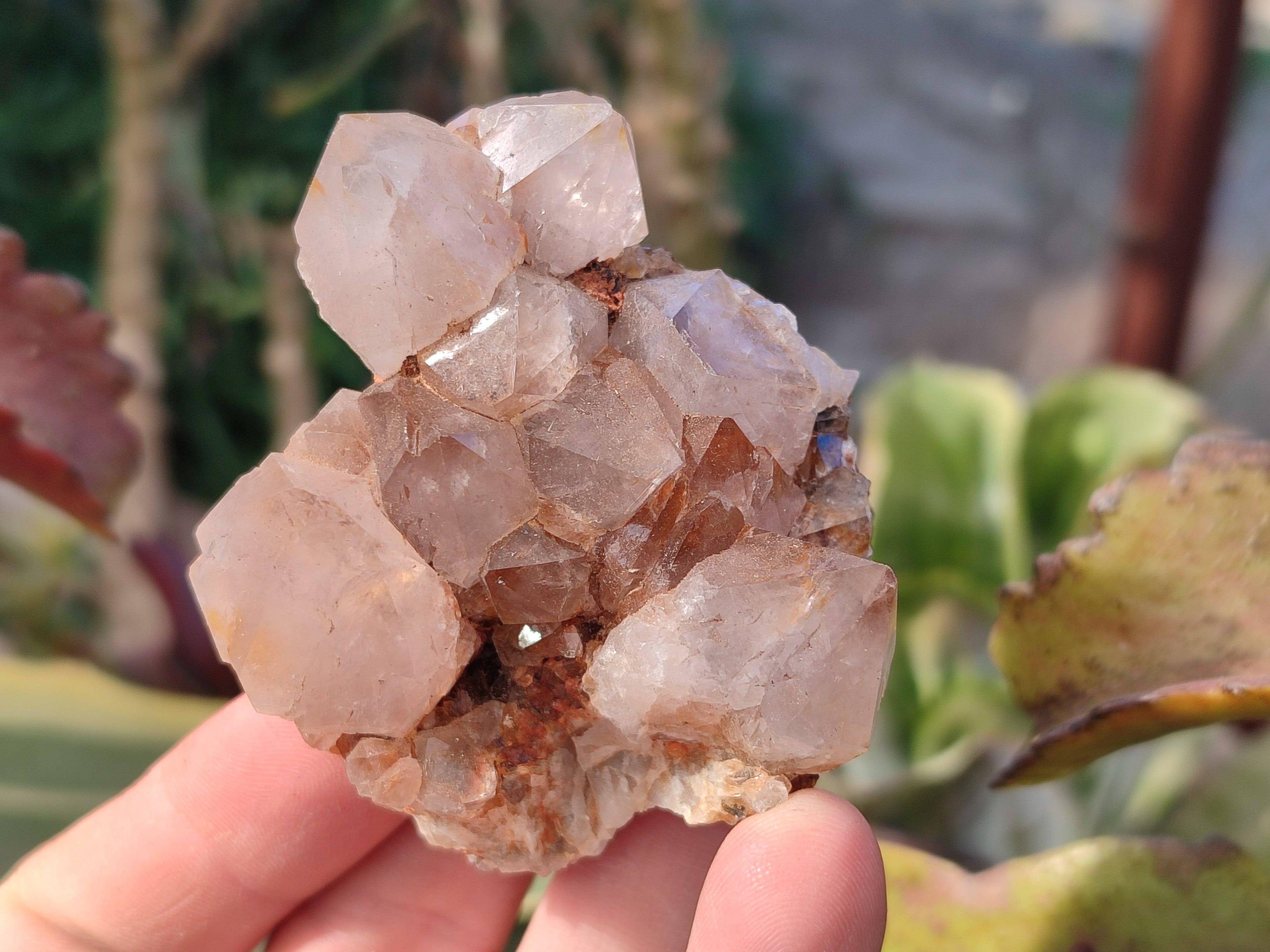 Natural Smokey Spirit Quartz Clusters x 6 From Boekenhouthoek, South Africa - Toprock Gemstones and Minerals 