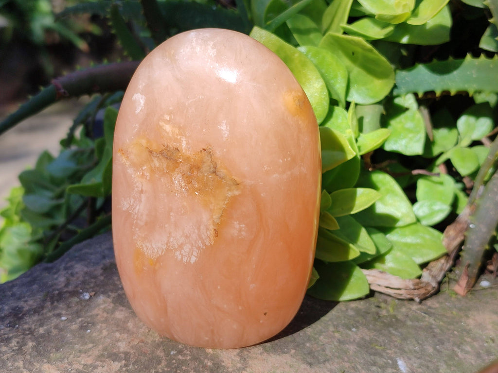 Polished Orange Twist Calcite Standing Free Forms x 2 From Madagascar - Toprock Gemstones and Minerals 